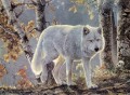 wolf in birch